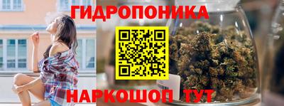 хмурый Кингисепп