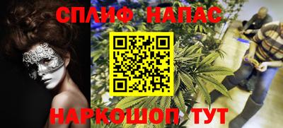 хмурый Кингисепп