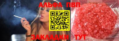 хмурый Кингисепп