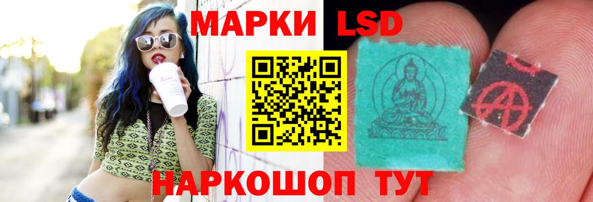блэк спрут онион  Лсд 25 экстази кислота  Вход с VPN  Карачаевск  LSD-25 экстази кислота 