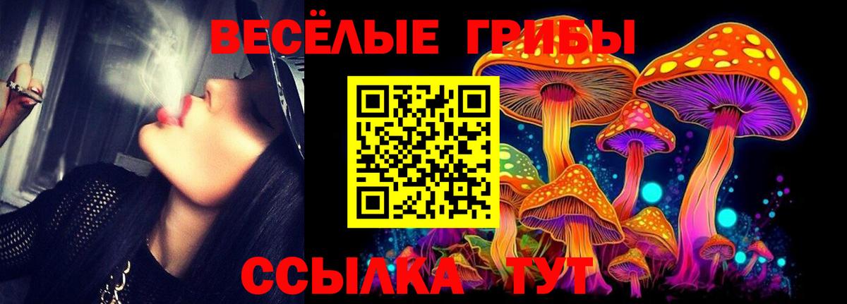 Карачаевск  Галлюциногенные грибы прущие грибы  Вход с VPN 