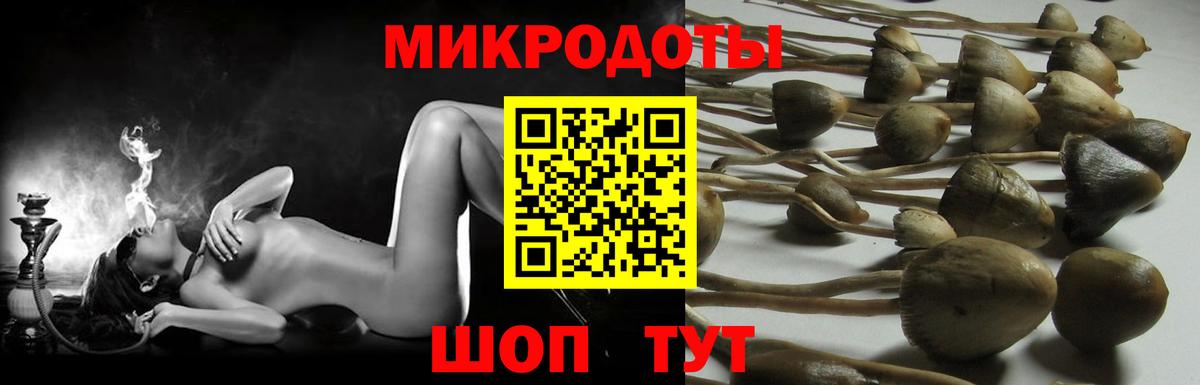 Галлюциногенные грибы прущие грибы Карачаевск