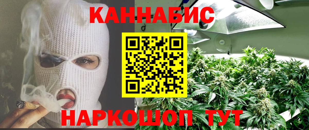 МАРИХУАНА конопля Карачаевск